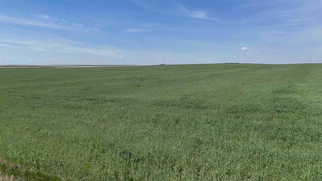 MLS® A2248231 - Range Road 243   in NONE Rural Vulcan County, Land