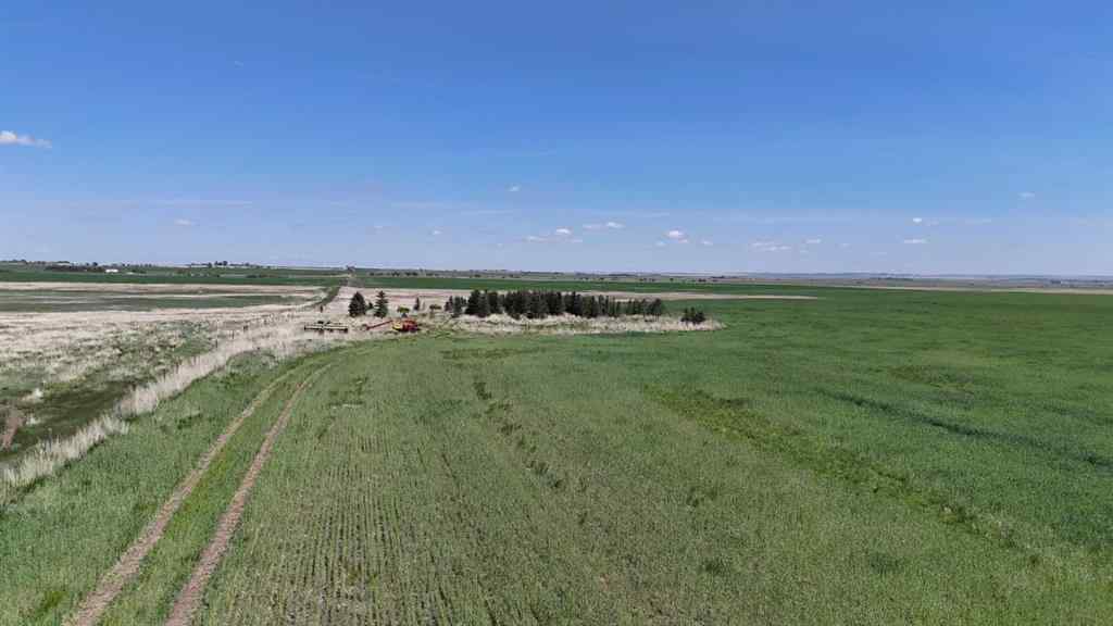 MLS® A2248231 - Range Road 243   in NONE Rural Vulcan County, Land
