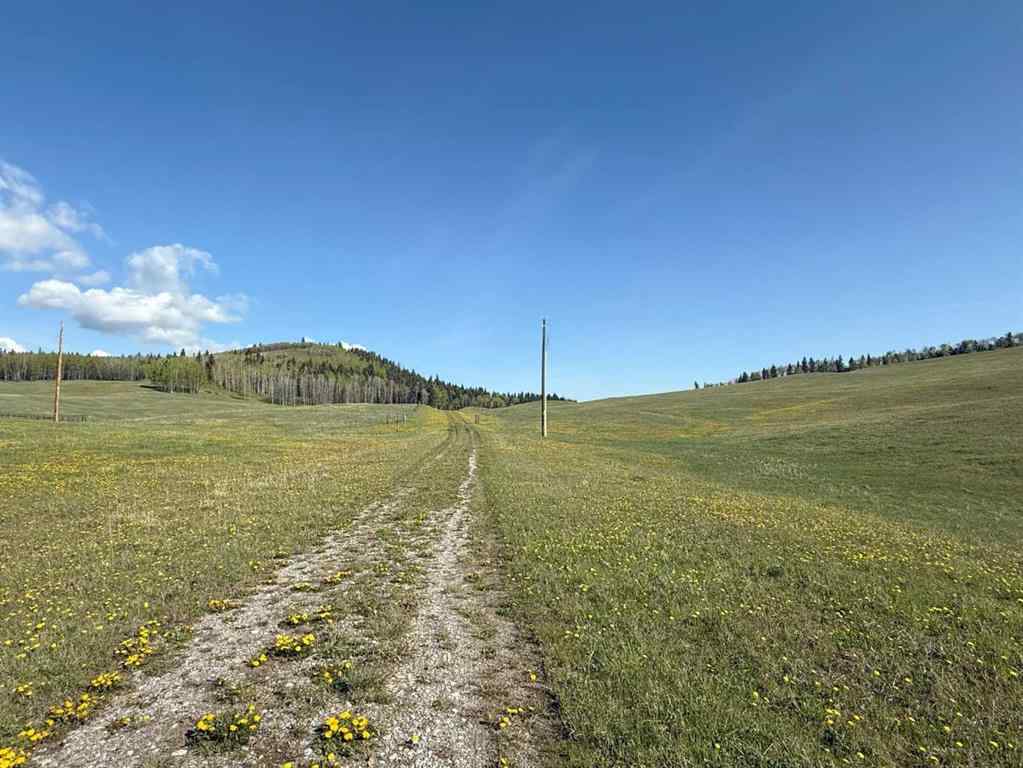 MLS® A2248238 - 130 Acres Plummers Road W in NONE Rural Foothills County, Land