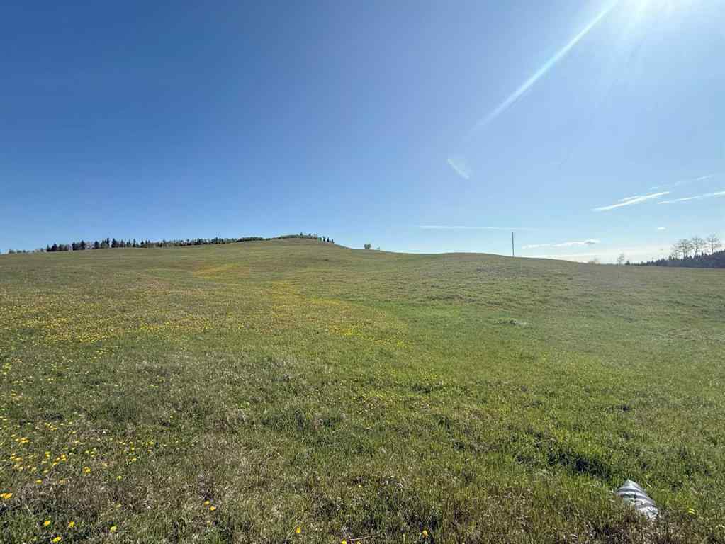 MLS® A2248238 - 130 Acres Plummers Road W in NONE Rural Foothills County, Land