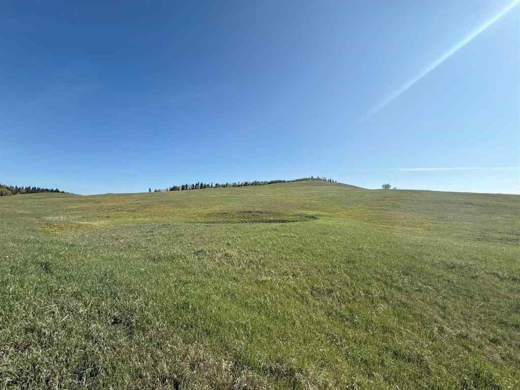 MLS® A2248238 - 130 Acres Plummers Road W in NONE Rural Foothills County, Land