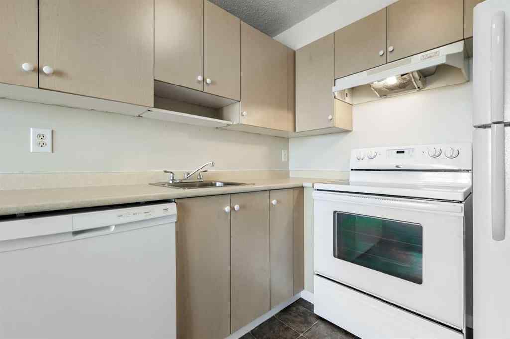MLS® A2248307 - Unit #431 1717 60 Street SE in Red Carpet Calgary, Residential