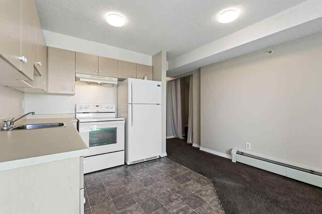 MLS® A2248307 - Unit #431 1717 60 Street SE in Red Carpet Calgary, Residential