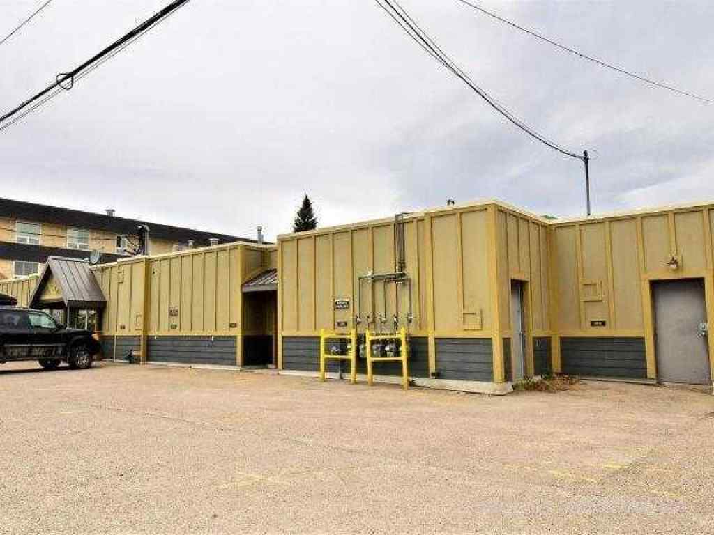 MLS® A2248324 - 213-219 Pembina Avenue  in Mountain View Hinton, Commercial