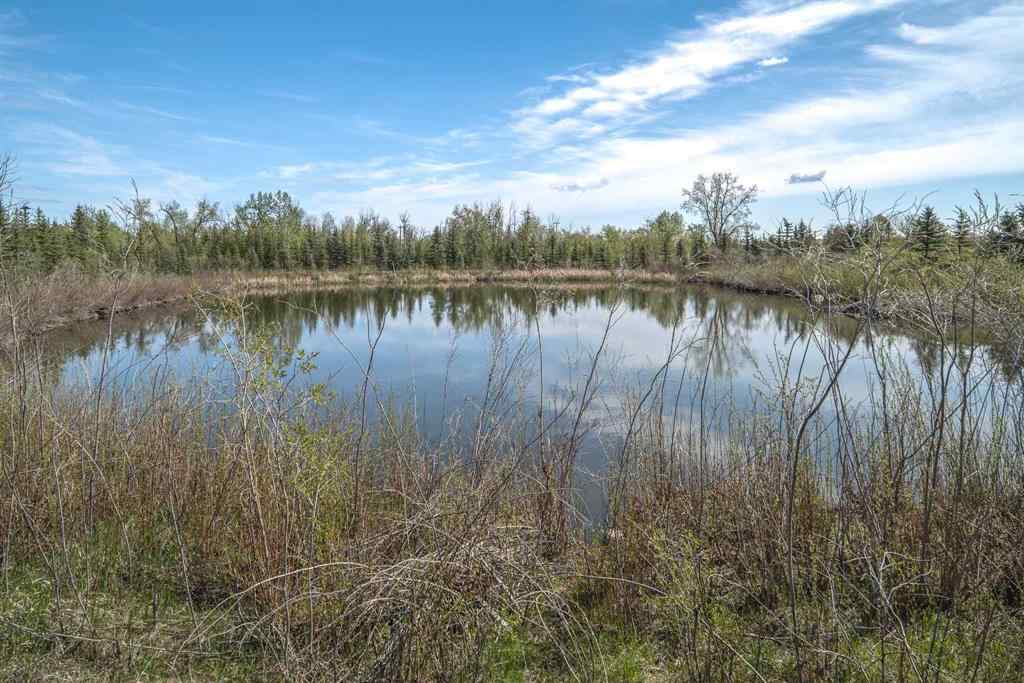MLS® A2248340 - 767 Shawnee Drive SW in Shawnee Slopes Calgary, Residential