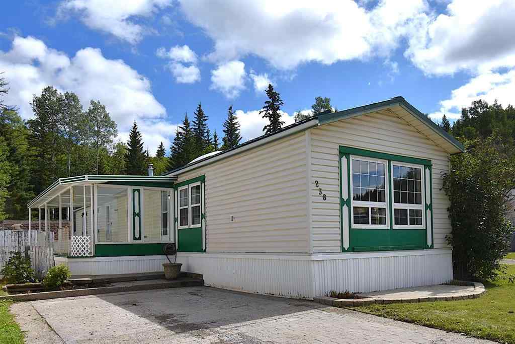 MLS® A2248369 - 238 Skogg Avenue  in Hardisty Hinton, Residential