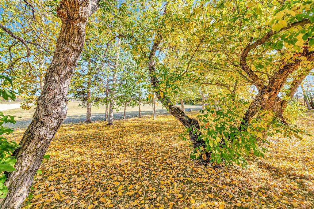 MLS® A2248372 - SE 10-53-24W3 Blk/Par A, Plan# 101732363, Extension 12   in NONE Rural, Residential
