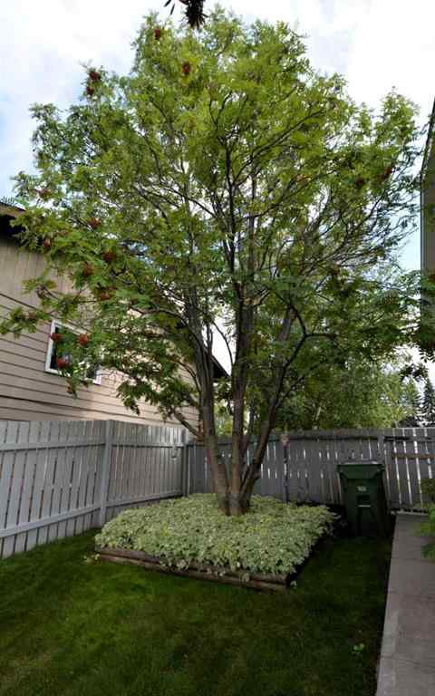 MLS® A2248401 - 6908 5 Avenue  in Edson Edson, Residential