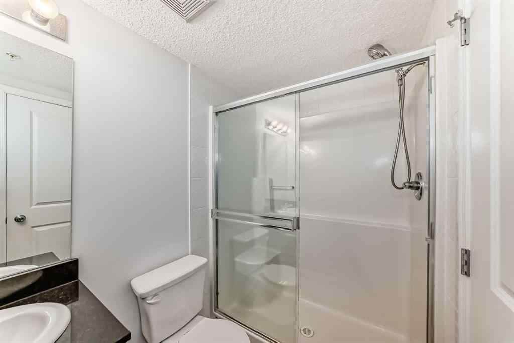 MLS® A2248445 - Unit #9113 403 Mackenzie Way SW in Downtown Airdrie, Residential