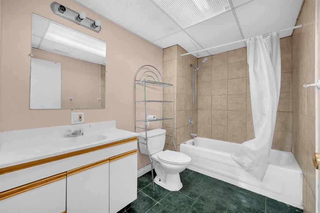 MLS® A2248456 - 32 Fallingworth Place  in Falconridge Calgary, Residential