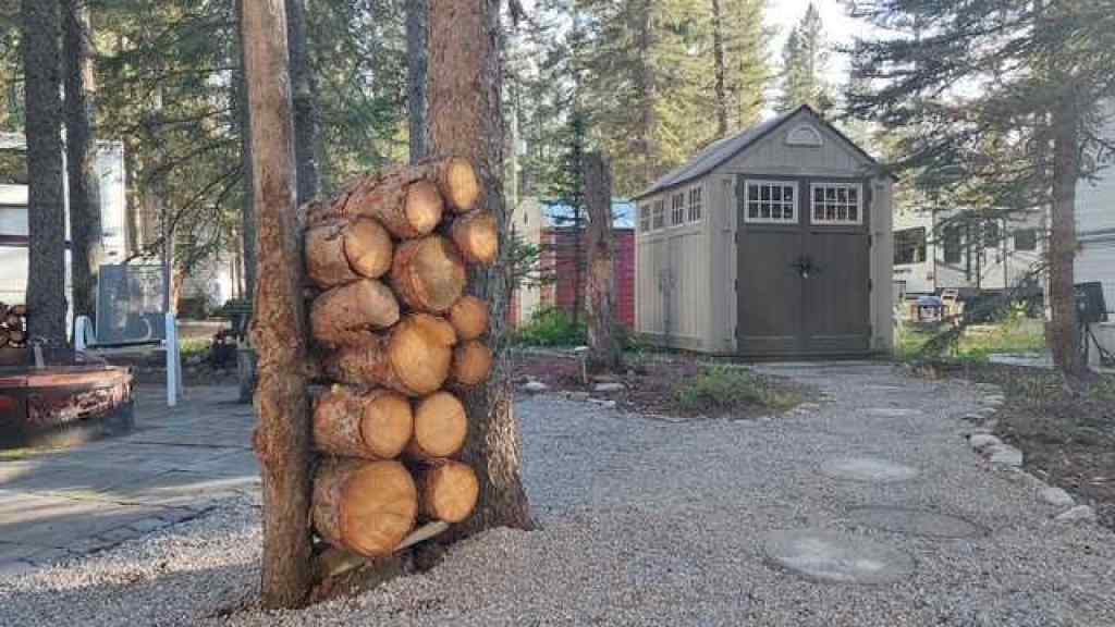 MLS® A2248461 - 3 Timber Crescent  in Tall Timber Rural Mountain View County, Land
