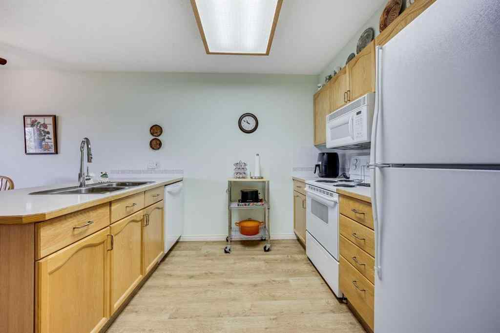 MLS® A2248620 - Unit #307 3 Parklane Way  in Downtown_Strathmore Strathmore, Residential