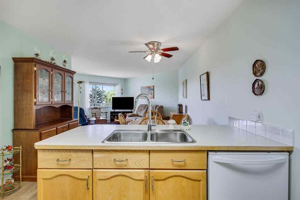 MLS® A2248620 - Unit #307 3 Parklane Way  in Downtown_Strathmore Strathmore, Residential