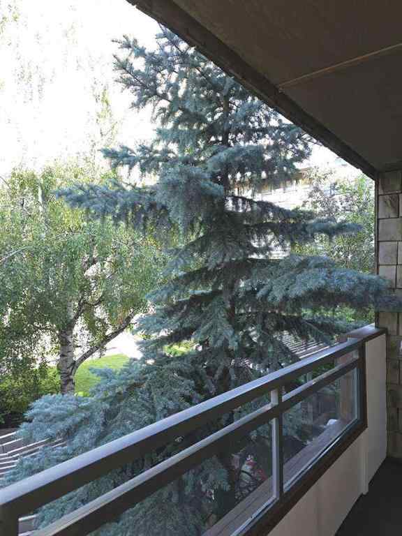 MLS® A2248729 - Unit #206 3730 50 Street NW in Varsity Calgary, Residential