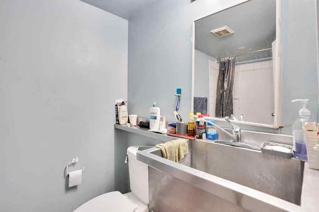 MLS® A2248765 - 139 MARTINDALE Drive NE in Martindale Calgary, Residential