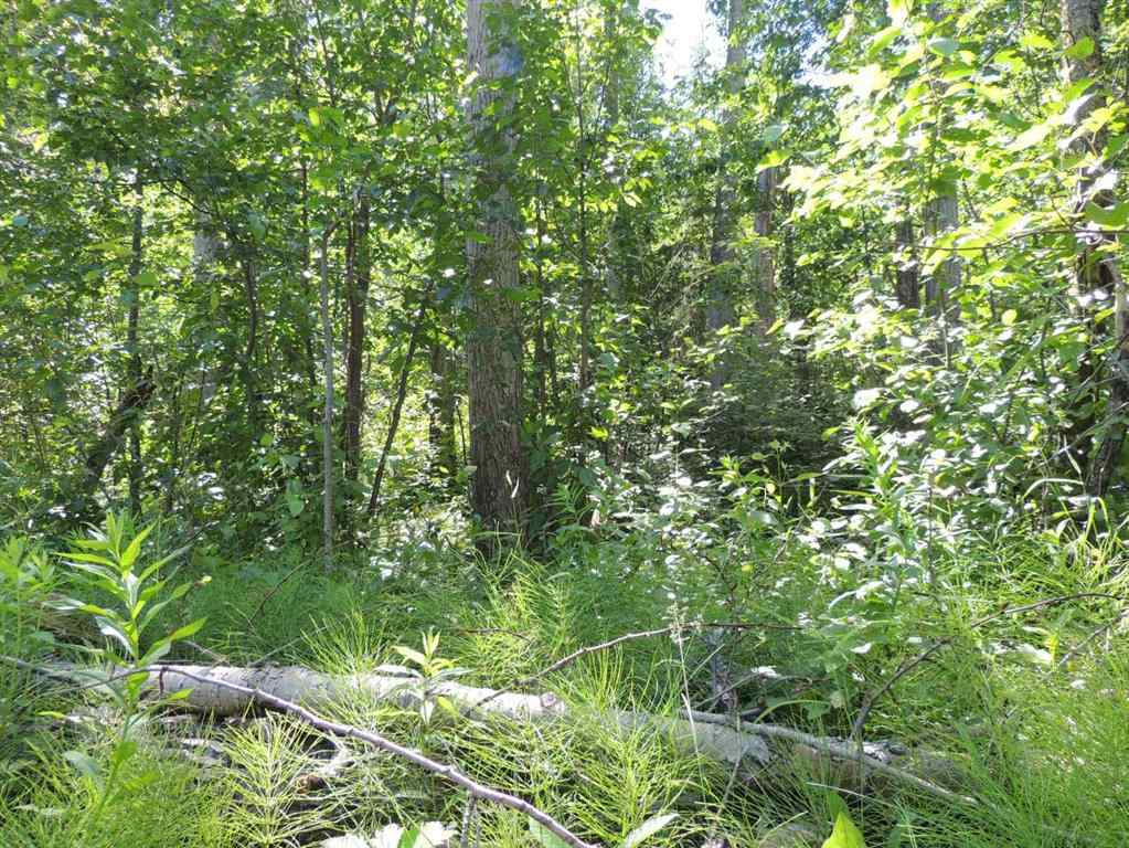 MLS® A2248834 - Unit #Lot 27 Wapiti River SW-21-69-10-W6   in NONE Rural Grande Prairie No. 1, County of, Land