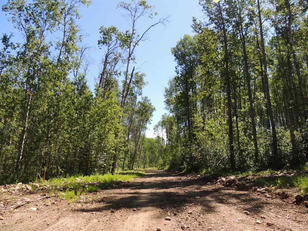 MLS® A2248843 - Unit #Lot 23 Wapiti River SW-21-69-10-W6   in NONE Rural Grande Prairie No. 1, County of, Land