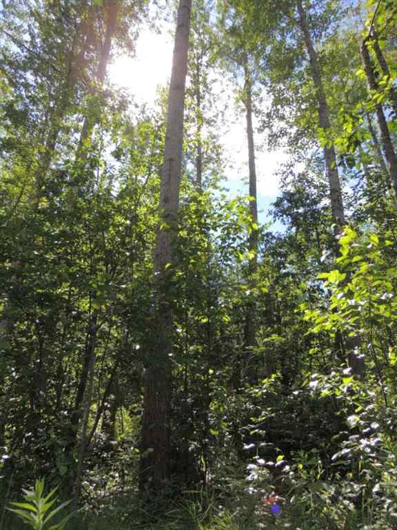 MLS® A2248843 - Unit #Lot 23 Wapiti River SW-21-69-10-W6   in NONE Rural Grande Prairie No. 1, County of, Land