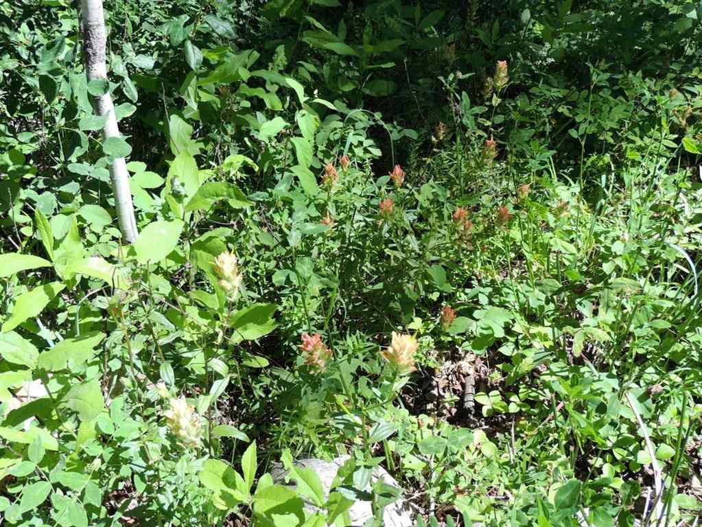 MLS® A2248843 - Unit #Lot 23 Wapiti River SW-21-69-10-W6   in NONE Rural Grande Prairie No. 1, County of, Land