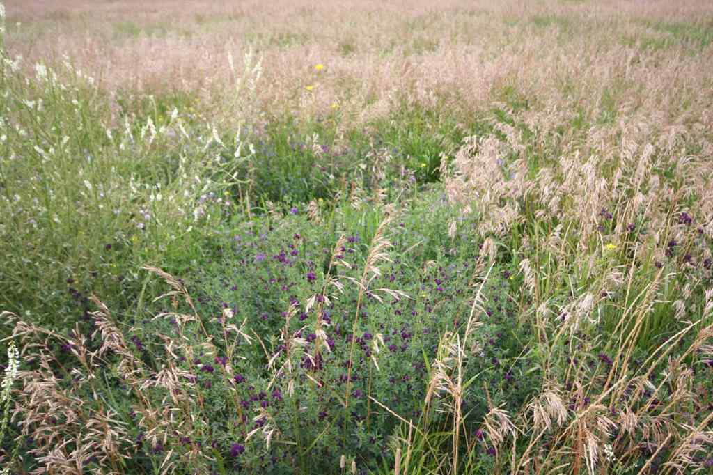 MLS® A2248865 -  402 Avenue W in NONE Rural Foothills County, Land