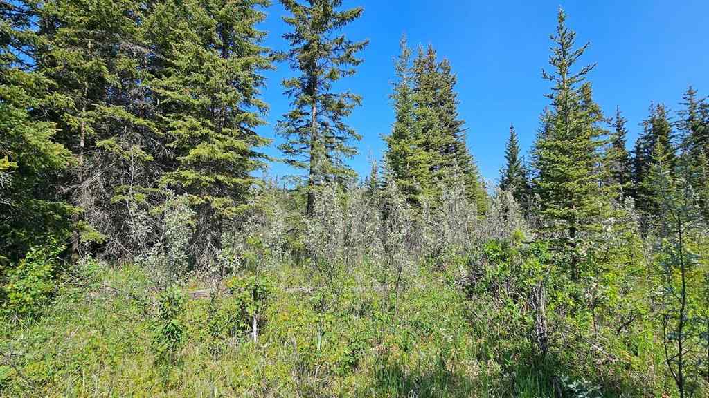 MLS® A2248905 - Unit #11 34364 Range Road 42   in NONE Rural Mountain View County, Land