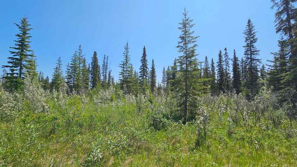 MLS® A2248905 - Unit #11 34364 Range Road 42   in NONE Rural Mountain View County, Land