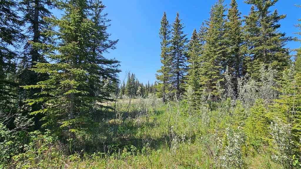 MLS® A2248905 - Unit #11 34364 Range Road 42   in NONE Rural Mountain View County, Land