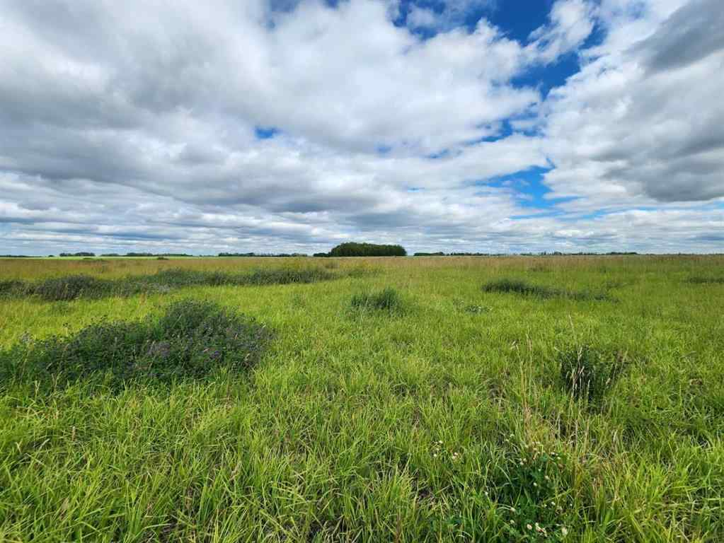 MLS® A2249003 -  Range Road 284 South   in NONE Rural Red Deer County, Land