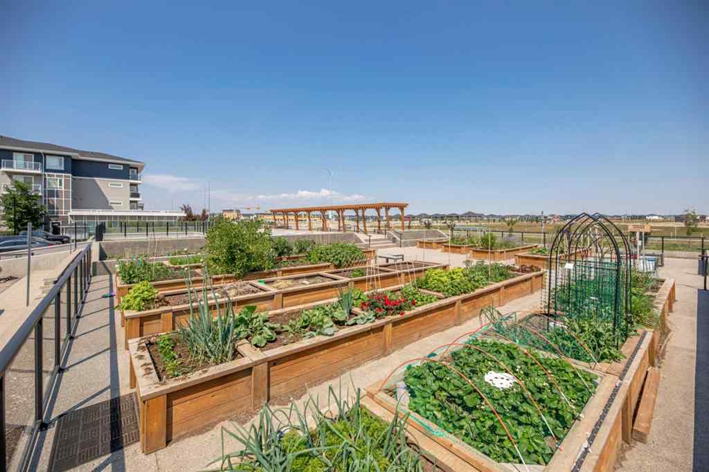 MLS® A2249051 - Unit #2126 76 Cornerstone Passage NE in Cornerstone Calgary, Residential