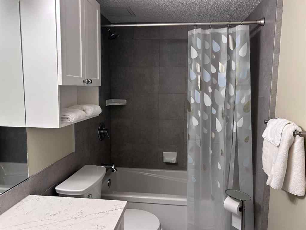 MLS® A2249186 - Unit #307 617 56 Avenue SW in Windsor Park Calgary, Residential