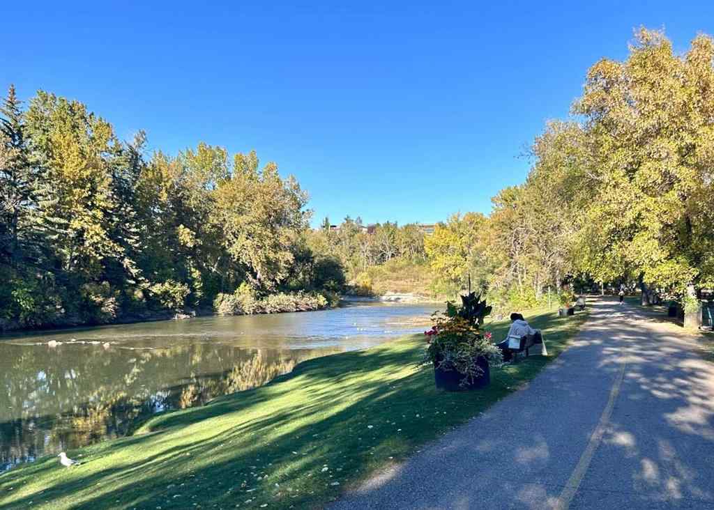 MLS® A2249186 - Unit #307 617 56 Avenue SW in Windsor Park Calgary, Residential