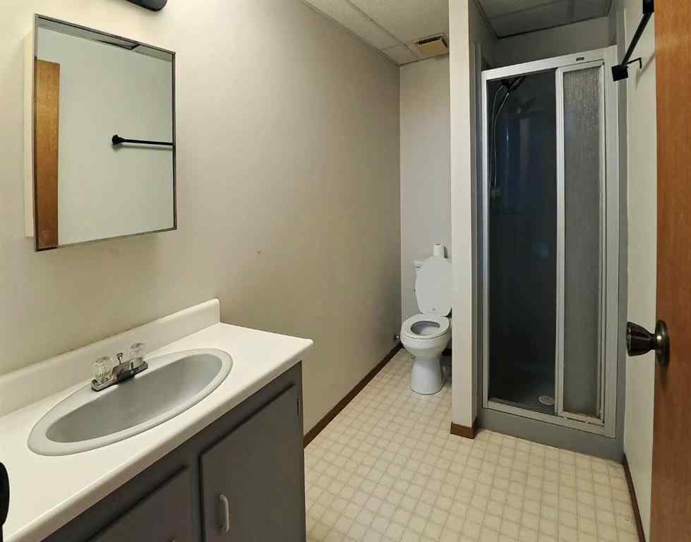 MLS® A2249290 - 4922 44 Street  in NONE Castor, Residential