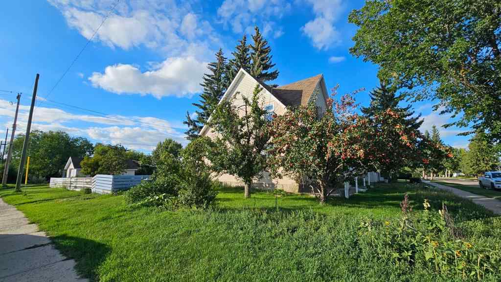 MLS® A2249390 - 5102 49 Street  in NONE Castor, Residential