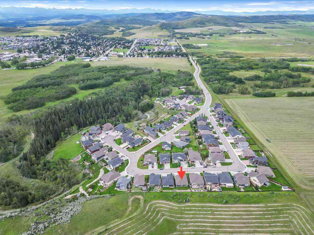 MLS® A2249397 - 443 Seclusion Valley Drive  in NONE Diamond Valley, Residential