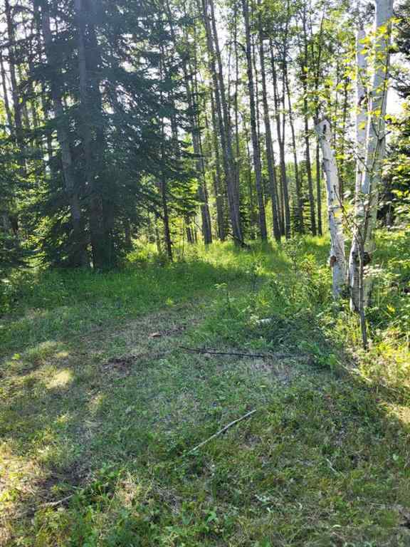 MLS® A2249485 - 10 South 40   in NONE Rural Clearwater County, Residential