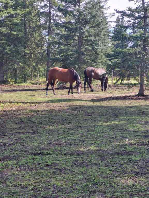 MLS® A2249485 - 10 South 40   in NONE Rural Clearwater County, Residential