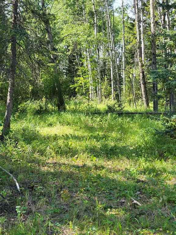 MLS® A2249485 - 10 South 40   in NONE Rural Clearwater County, Residential