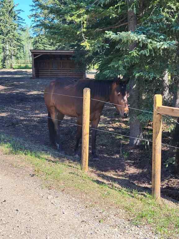 MLS® A2249485 - 10 South 40   in NONE Rural Clearwater County, Residential