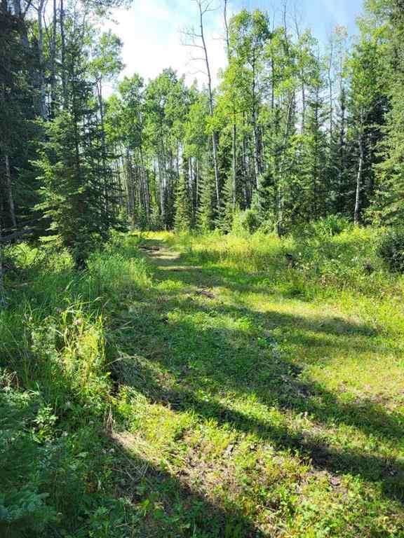 MLS® A2249485 - 10 South 40   in NONE Rural Clearwater County, Residential