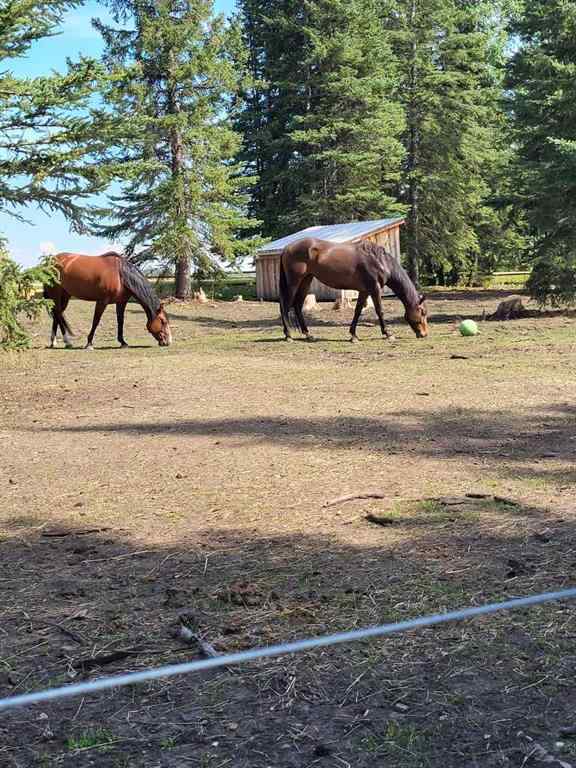 MLS® A2249485 - 10 South 40   in NONE Rural Clearwater County, Residential