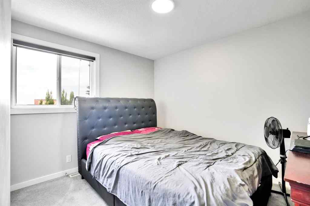 MLS® A2249489 - 243 Castlebrook Road NE in Castleridge Calgary, Residential