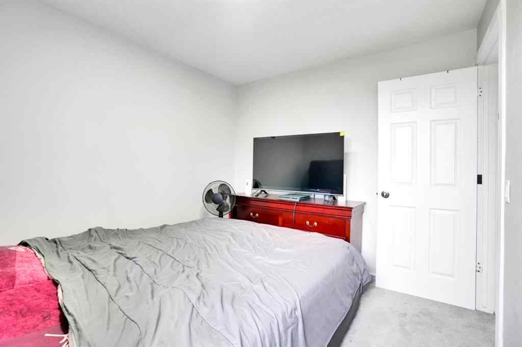 MLS® A2249489 - 243 Castlebrook Road NE in Castleridge Calgary, Residential