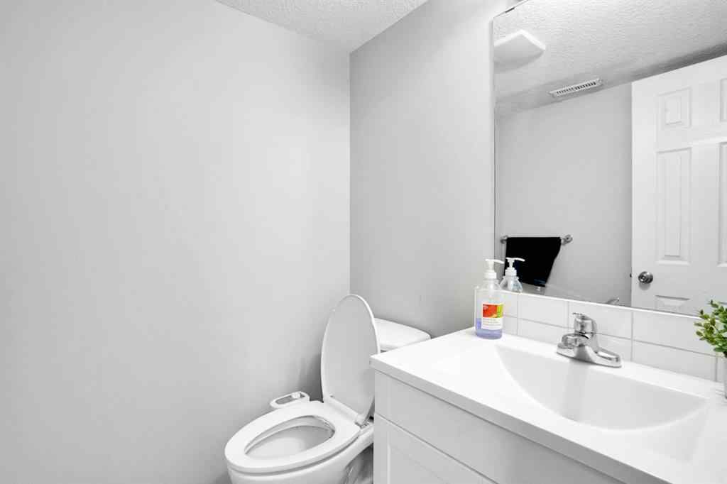 MLS® A2249489 - 243 Castlebrook Road NE in Castleridge Calgary, Residential