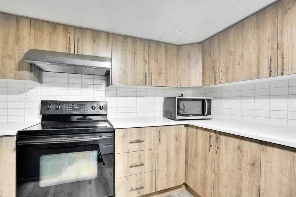 MLS® A2249489 - 243 Castlebrook Road NE in Castleridge Calgary, Residential