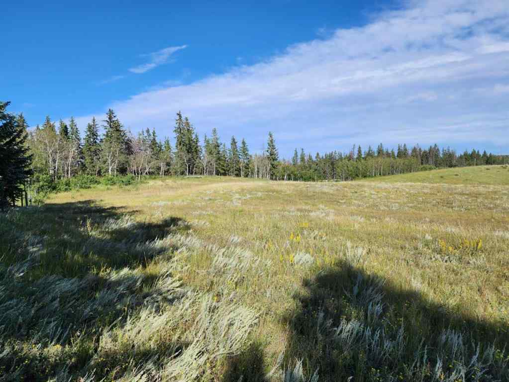 MLS® A2249512 - 256 Briar Road  in Burbank Rural Lacombe County, Land