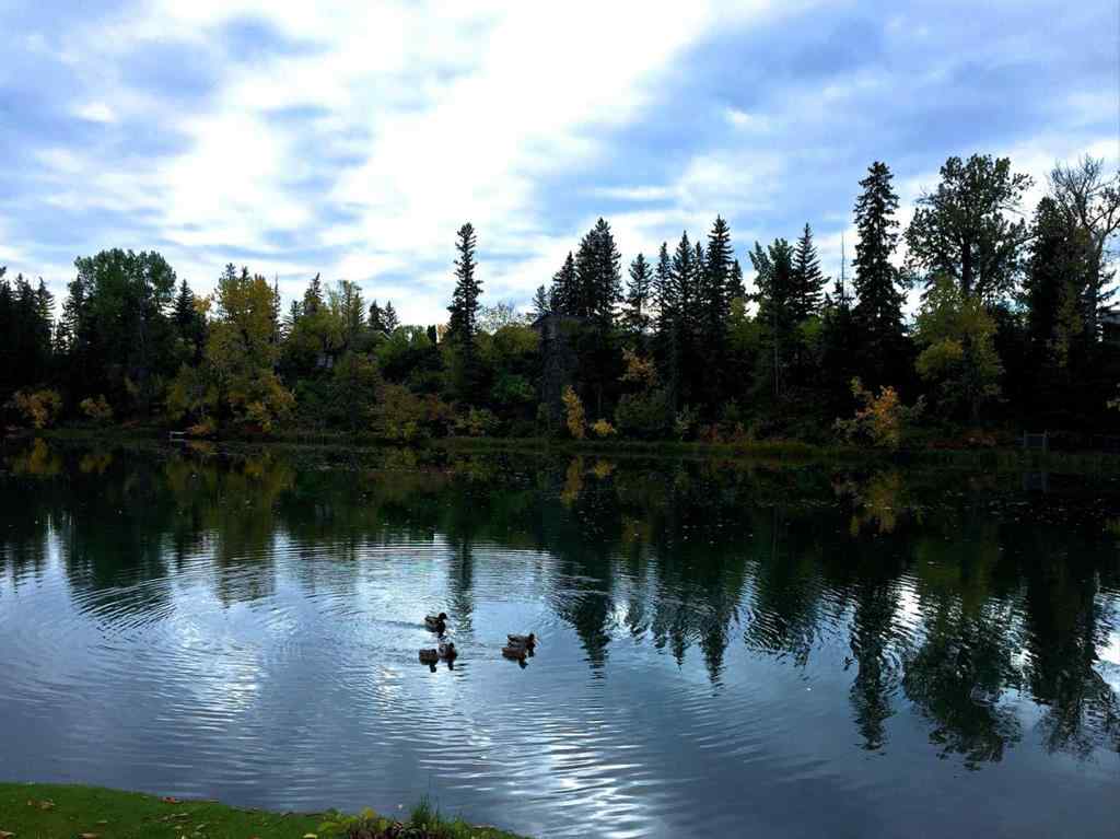 MLS® A2249562 - 6416 34 Avenue NW in Bowness Calgary, Residential