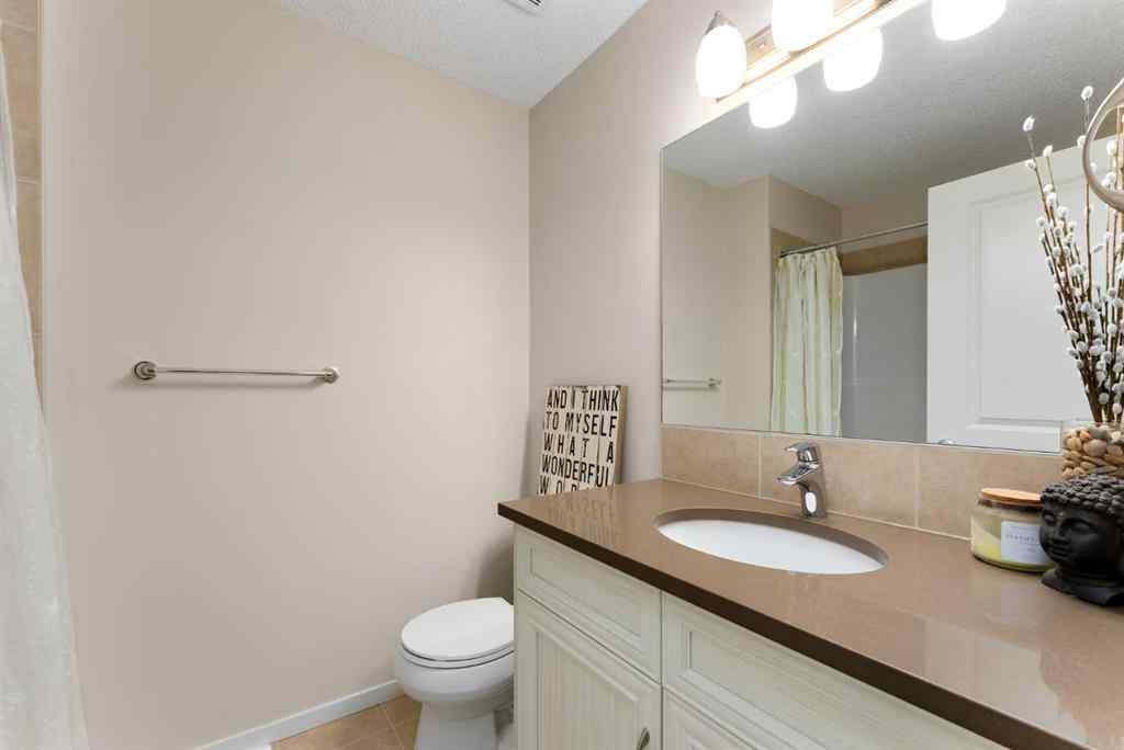 MLS® A2249568 - 117 Mahogany Drive SE in Mahogany Calgary, Residential