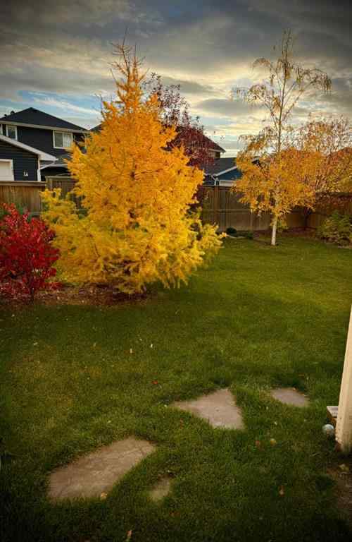 MLS® A2249589 - 46 River Heights Boulevard  in River Heights Cochrane, Residential