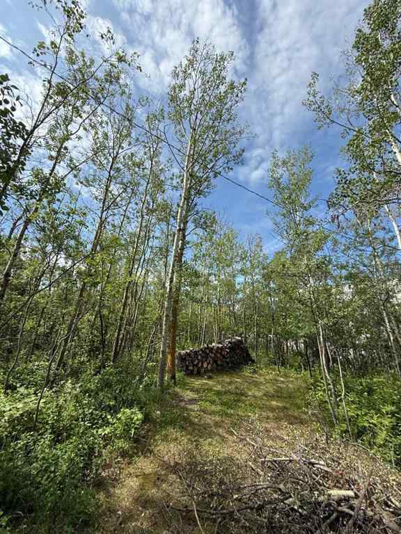 MLS® A2249591 - 4640 49 Street  in Central Core Sylvan Lake, Residential