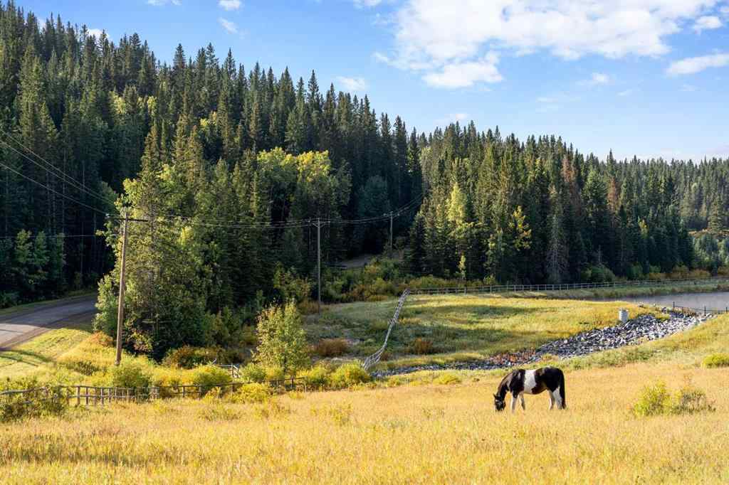 MLS® A2249641 - 35 Horseshoe Bend  in Square Butte Rural Foothills County, Residential
